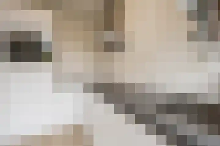 Oude Raadhuislaan 78 Rotterdam thumbnail 8