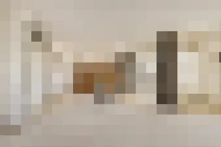 Oude Raadhuisplein 18 Hendrik-Ido-Ambacht thumbnail 10