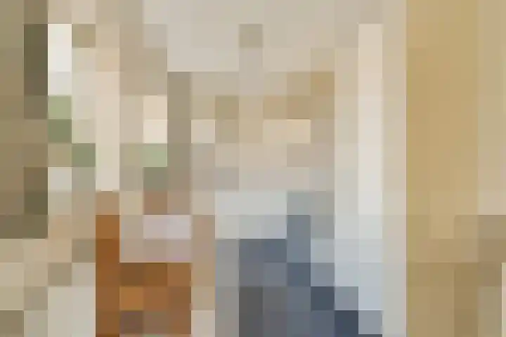 Oude Raadhuisplein 18 Hendrik-Ido-Ambacht thumbnail 15
