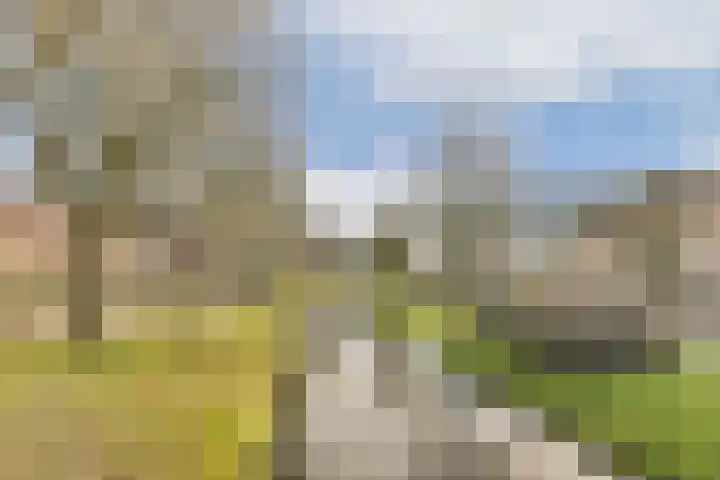 Oude Raadhuisplein 18 Hendrik-Ido-Ambacht thumbnail 30