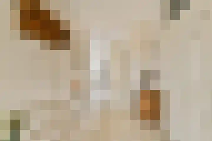 Oude Raadhuisplein 18 Hendrik-Ido-Ambacht thumbnail 6