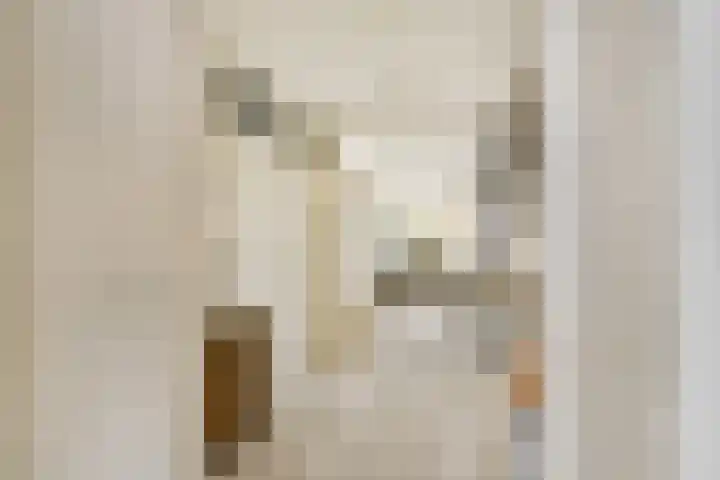 Oude Raadhuisplein 18 Hendrik-Ido-Ambacht thumbnail 7