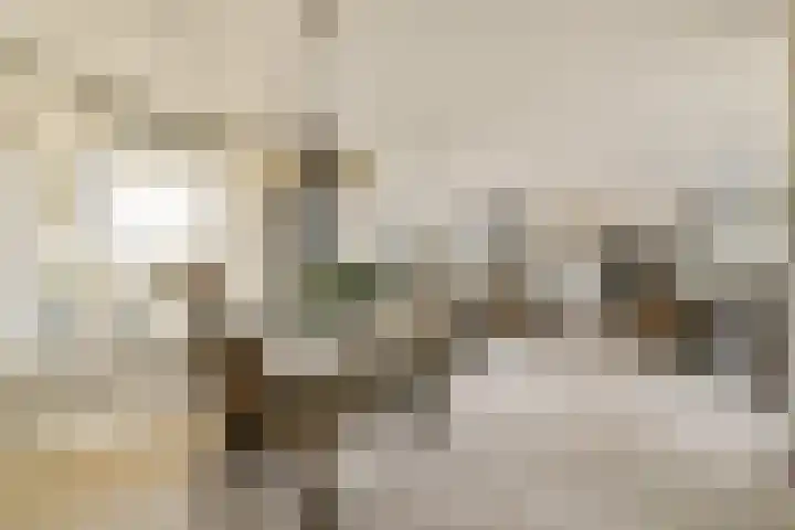 Oude Raadhuisplein 18 Hendrik-Ido-Ambacht thumbnail 8