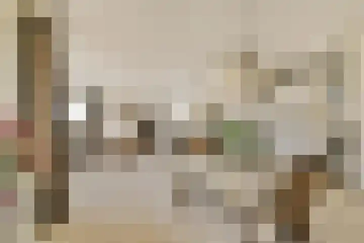 Oude Raadhuisplein 18 Hendrik-Ido-Ambacht thumbnail 9