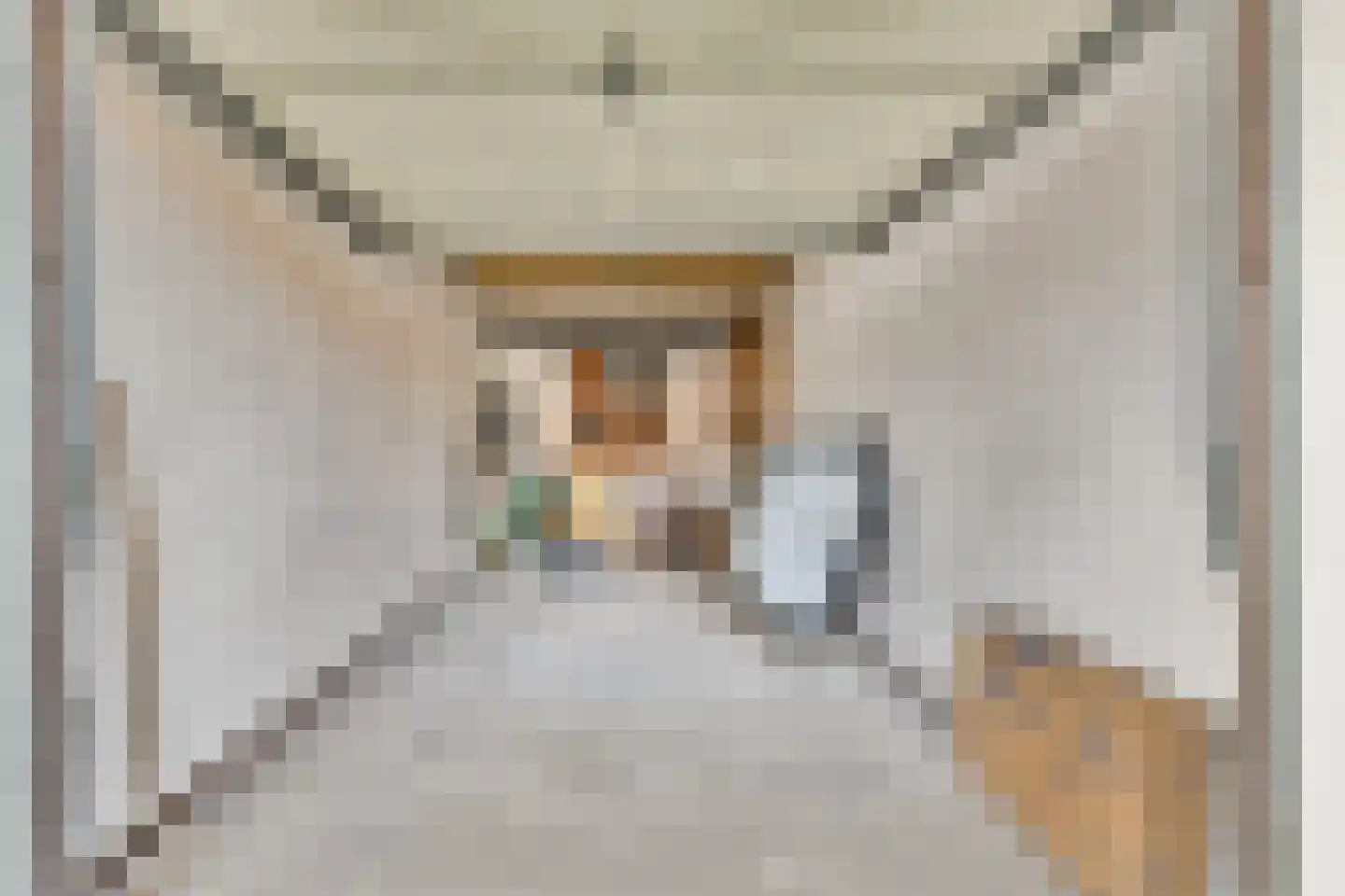 Oude Raadhuisplein 20 Hendrik-Ido-Ambacht thumbnail 16