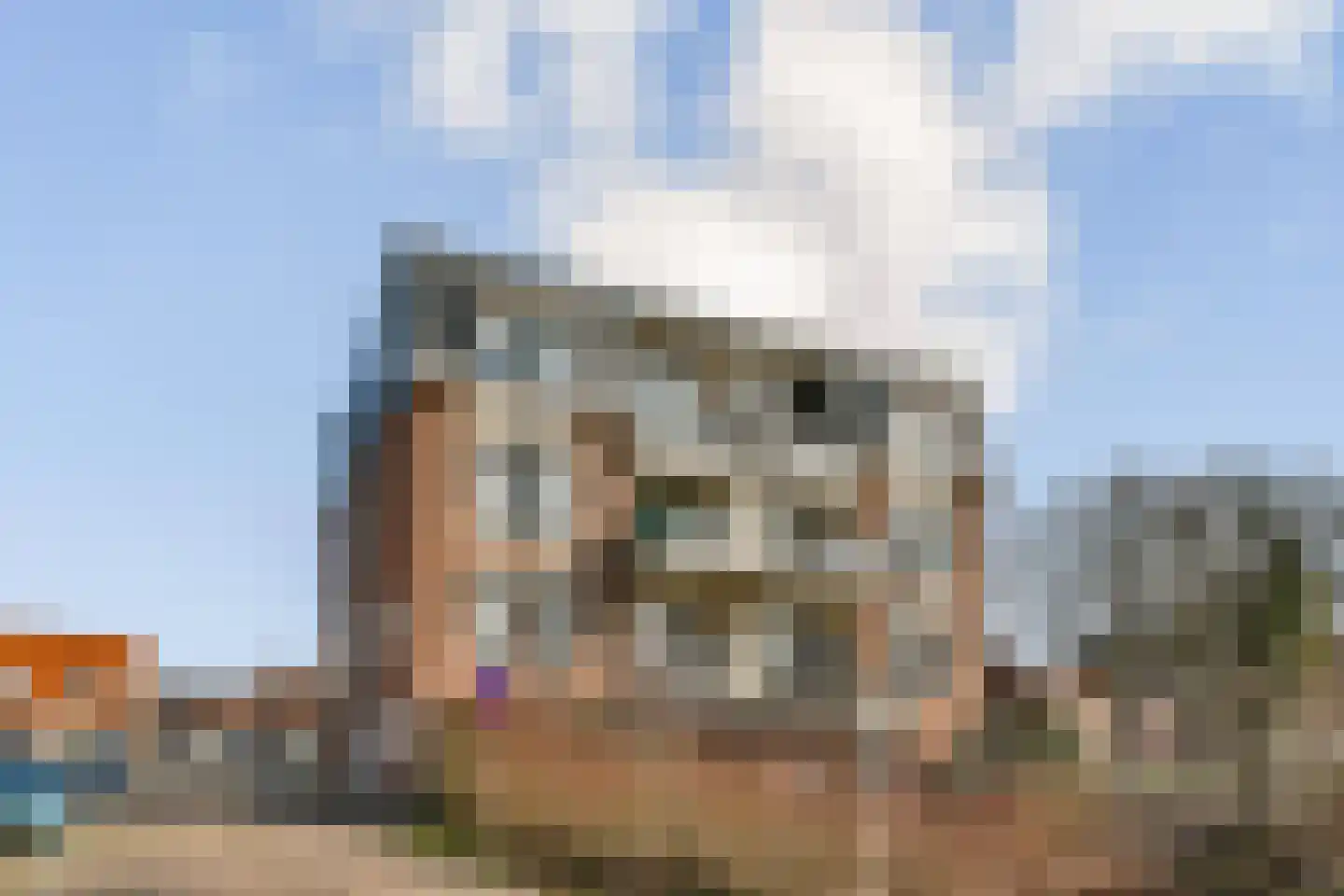 Oude Raadhuisplein 20 Hendrik-Ido-Ambacht thumbnail 20