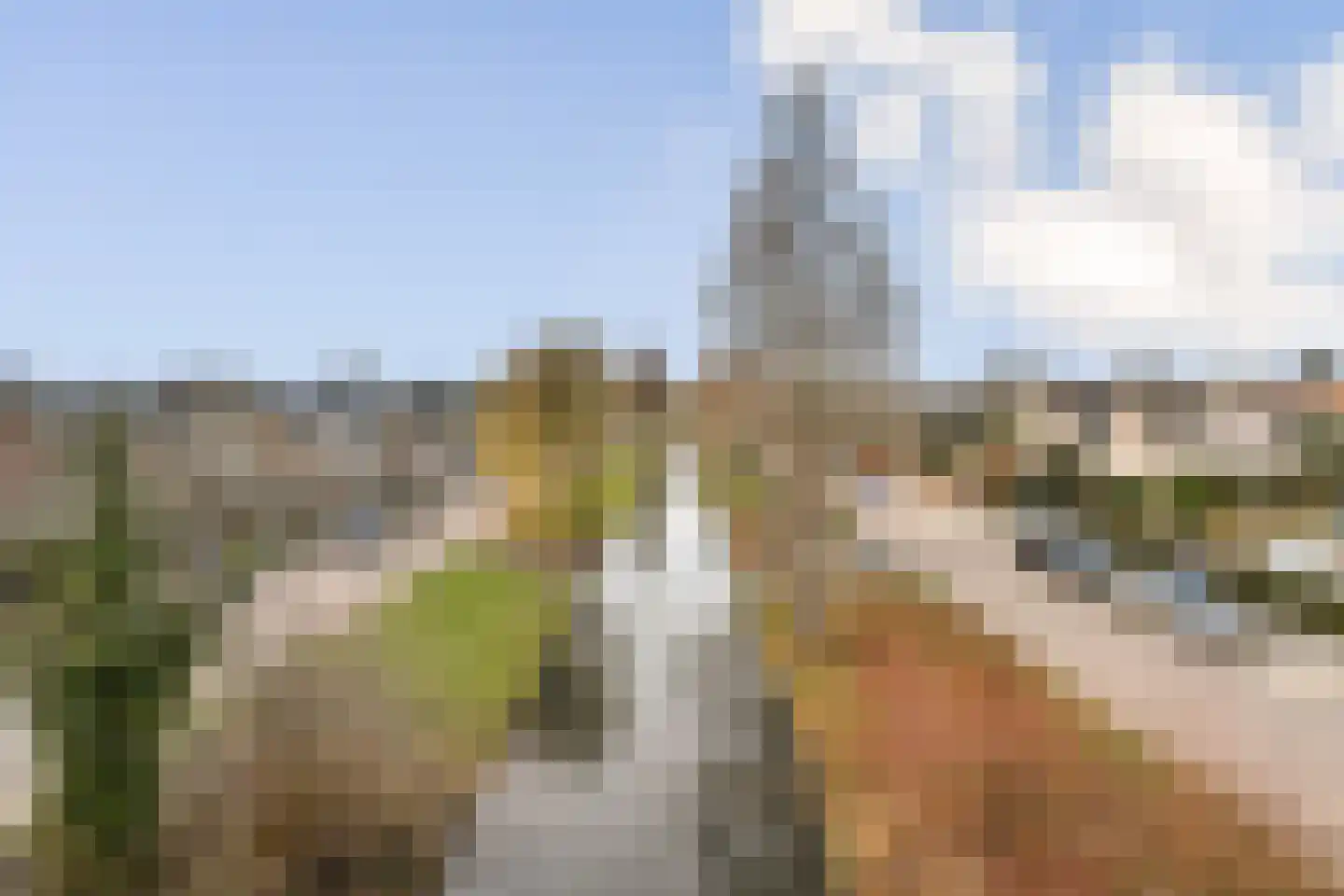 Oude Raadhuisplein 20 Hendrik-Ido-Ambacht thumbnail 8