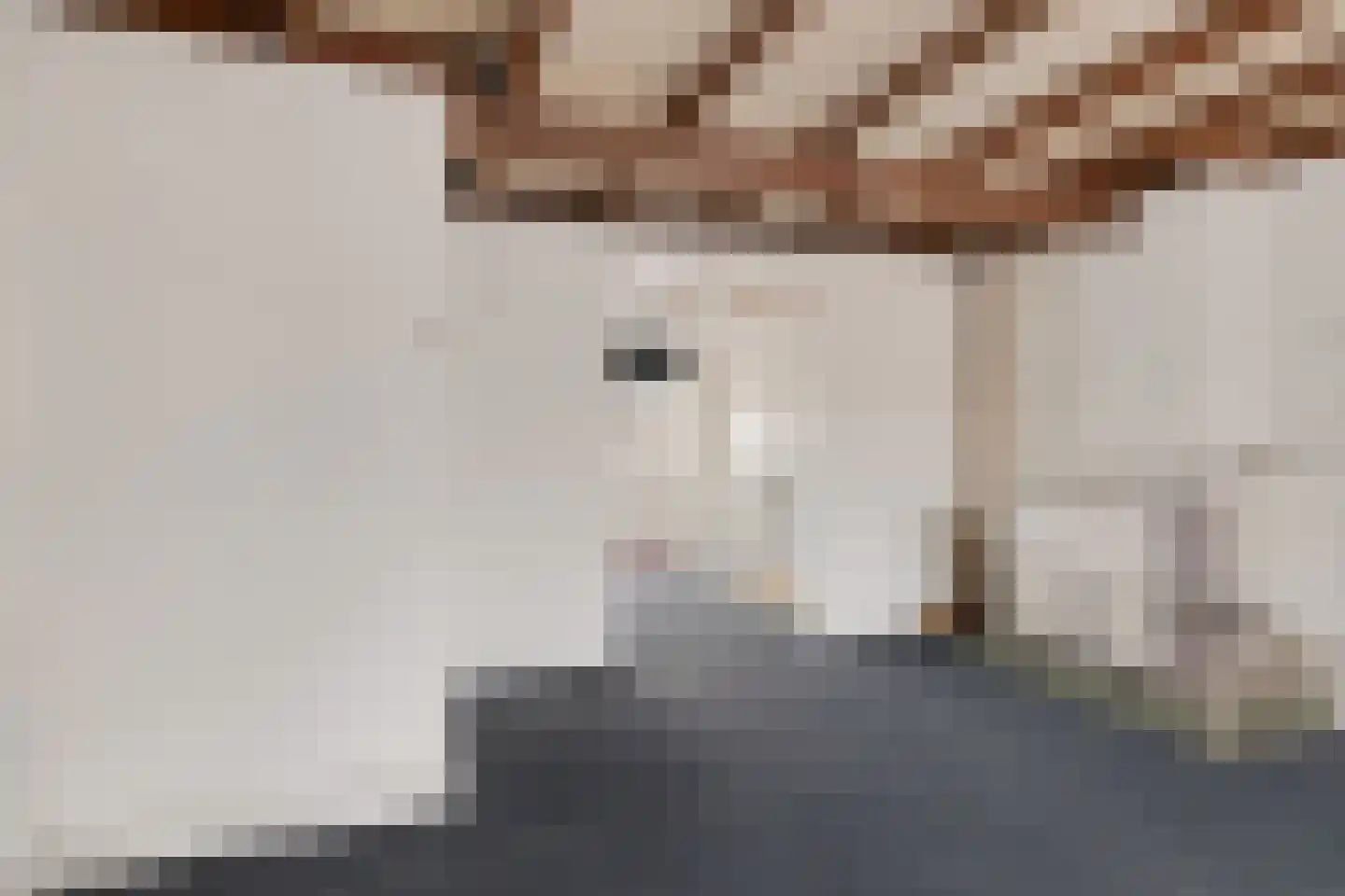 Oude Raadhuisplein 3 A Huizen thumbnail 10