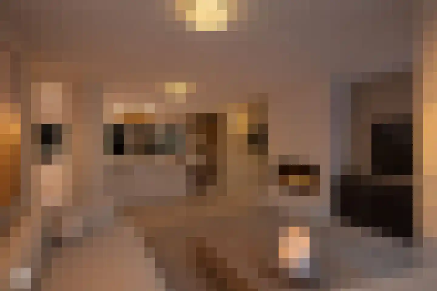 Oude Raadhuisplein 3 A Huizen thumbnail 15