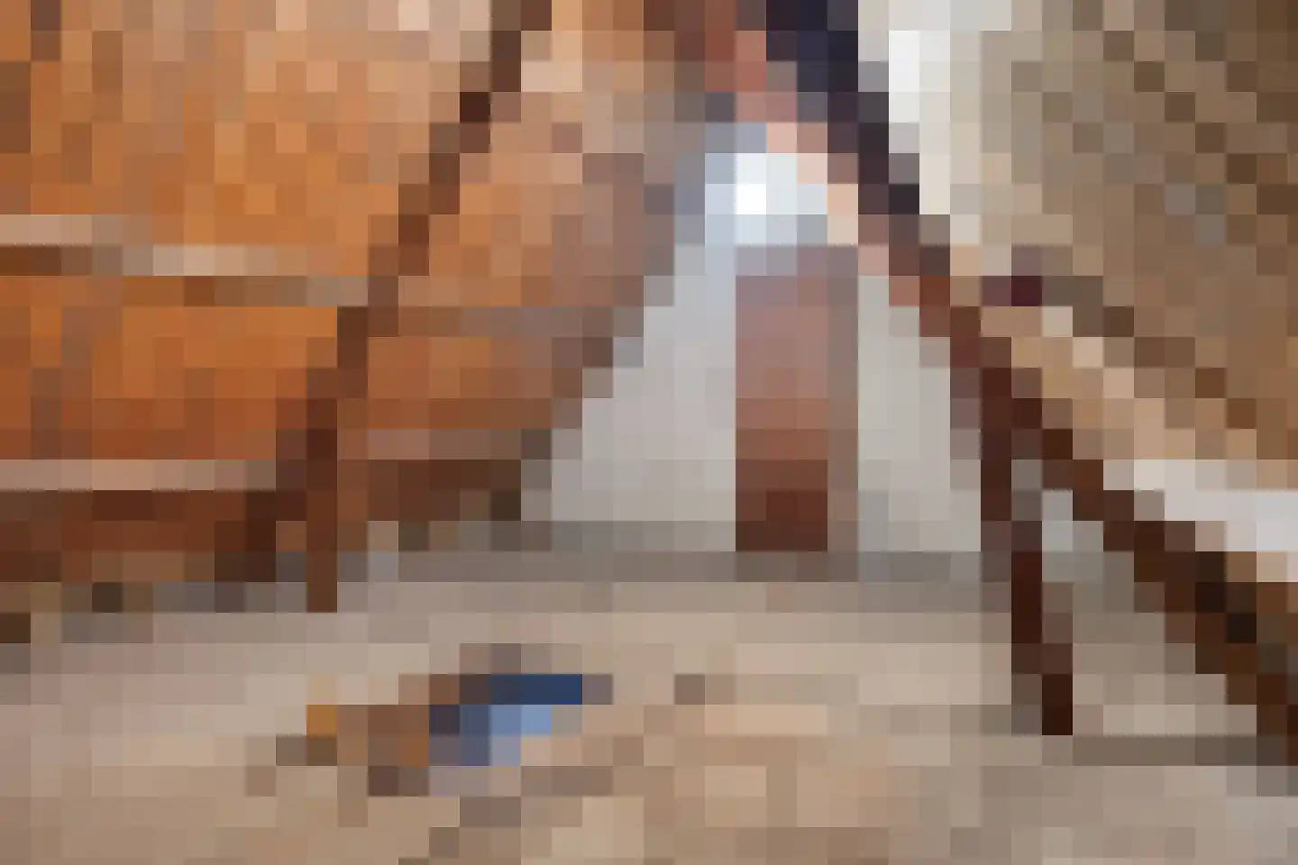 Oude Raadhuisplein 3 A Huizen thumbnail 20
