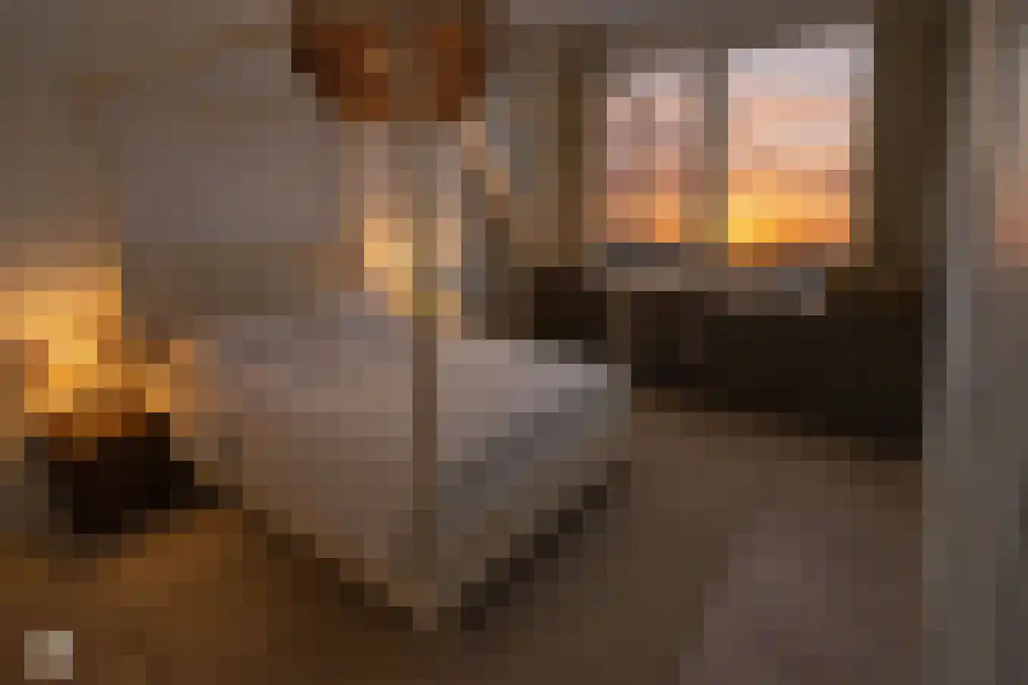 Oude Raadhuisplein 3 A Huizen thumbnail 22