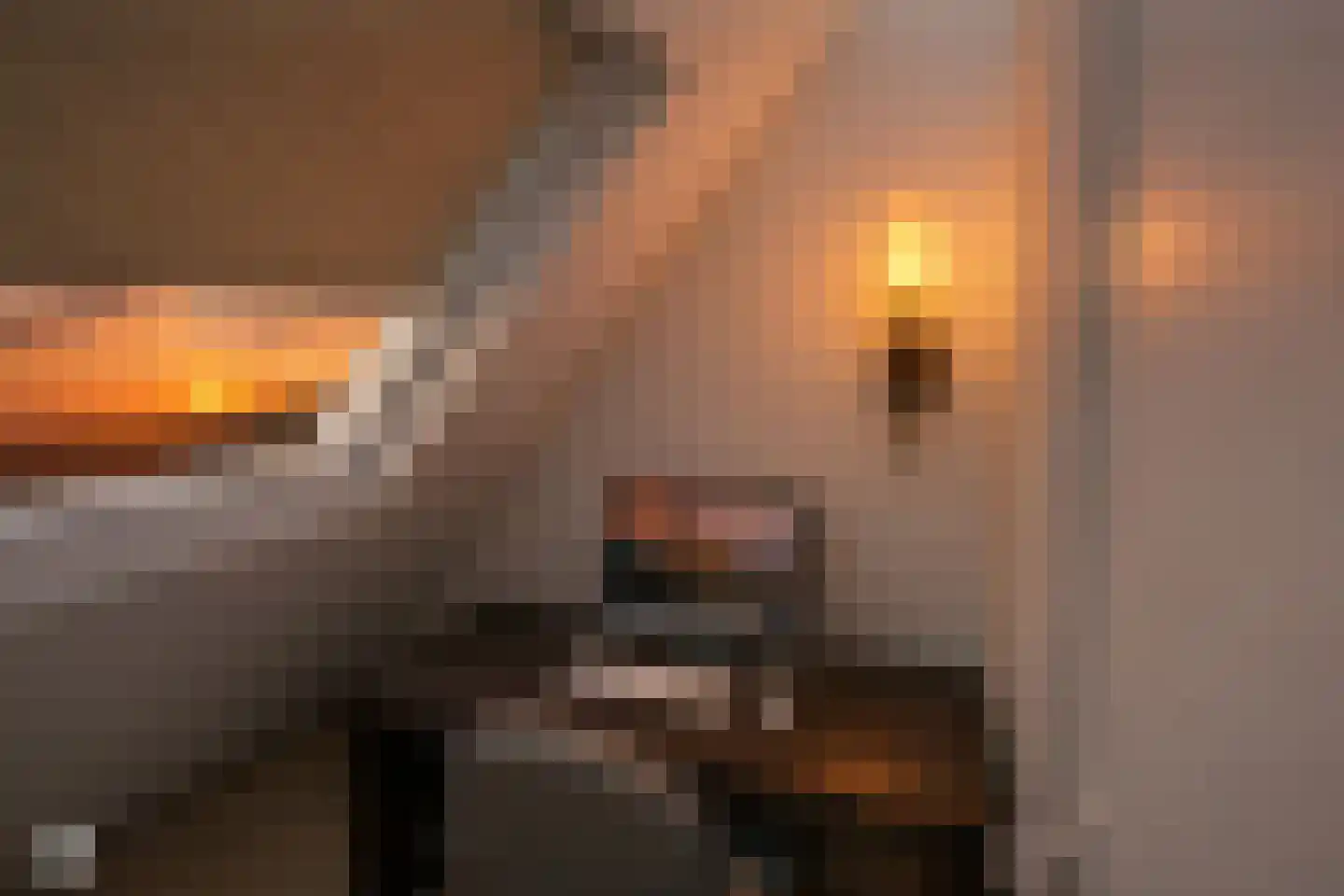 Oude Raadhuisplein 3 A Huizen thumbnail 23