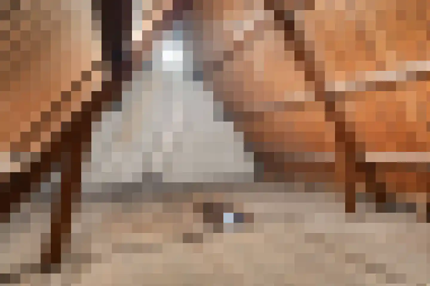 Oude Raadhuisplein 3 A Huizen thumbnail 24
