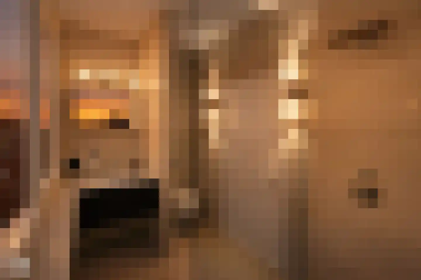 Oude Raadhuisplein 3 A Huizen thumbnail 25
