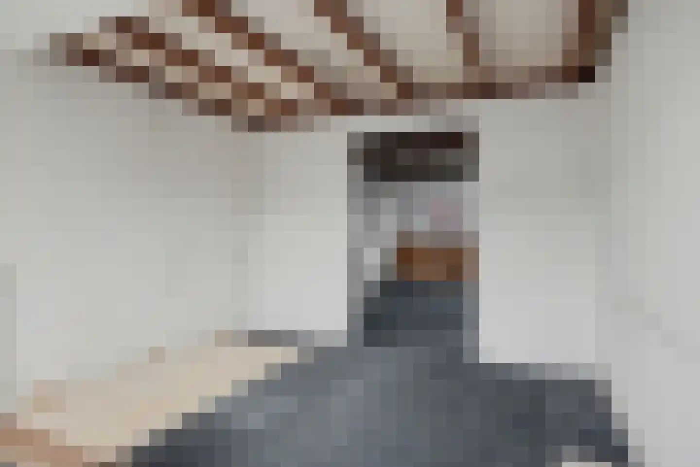 Oude Raadhuisplein 3 A Huizen thumbnail 8