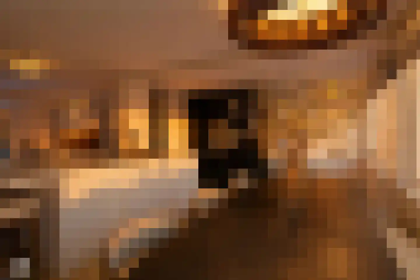 Oude Raadhuisplein 3 A Huizen thumbnail 9