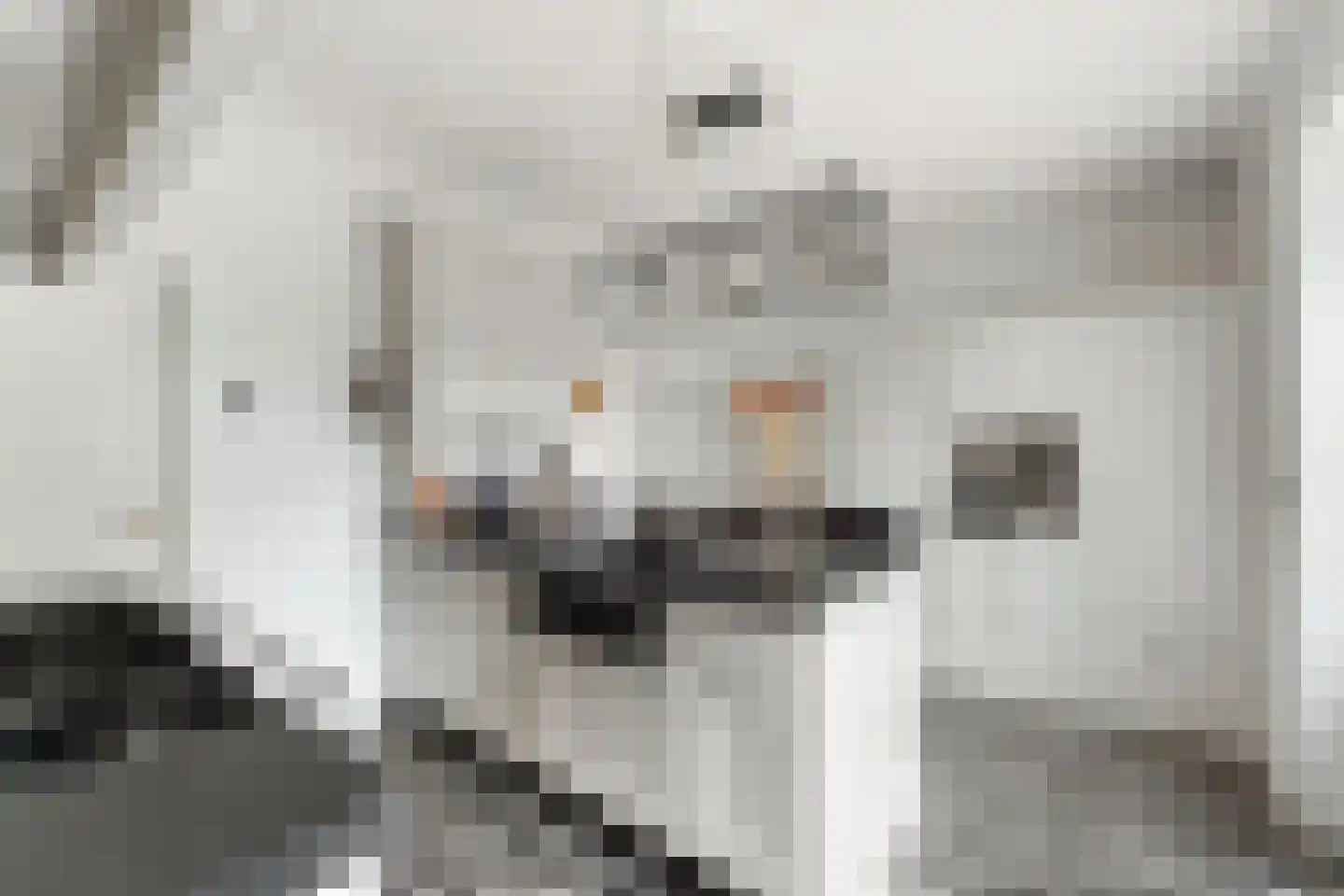 Oude Raadhuisstraat 10 Obbicht thumbnail 12