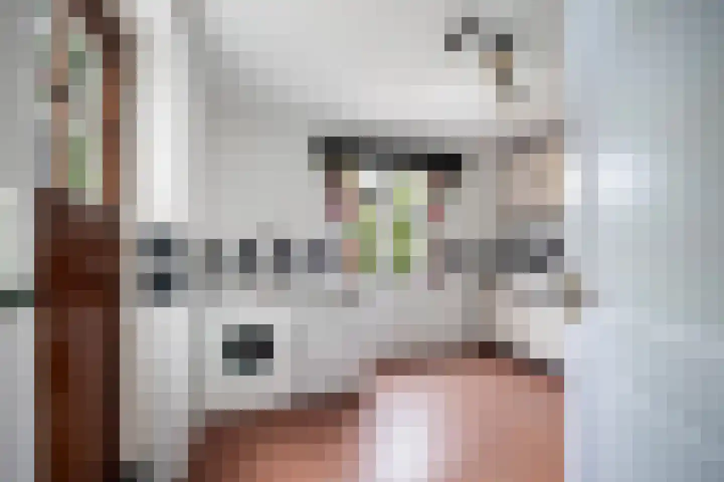 Oude Raadhuisstraat 10 Obbicht thumbnail 16