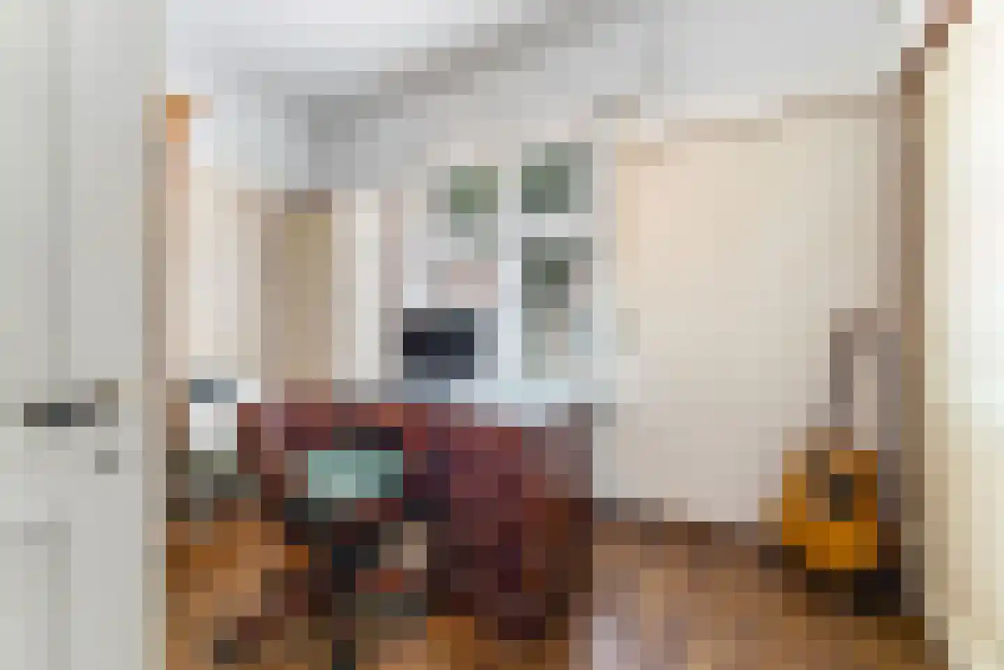 Oude Raadhuisstraat 10 Obbicht thumbnail 17