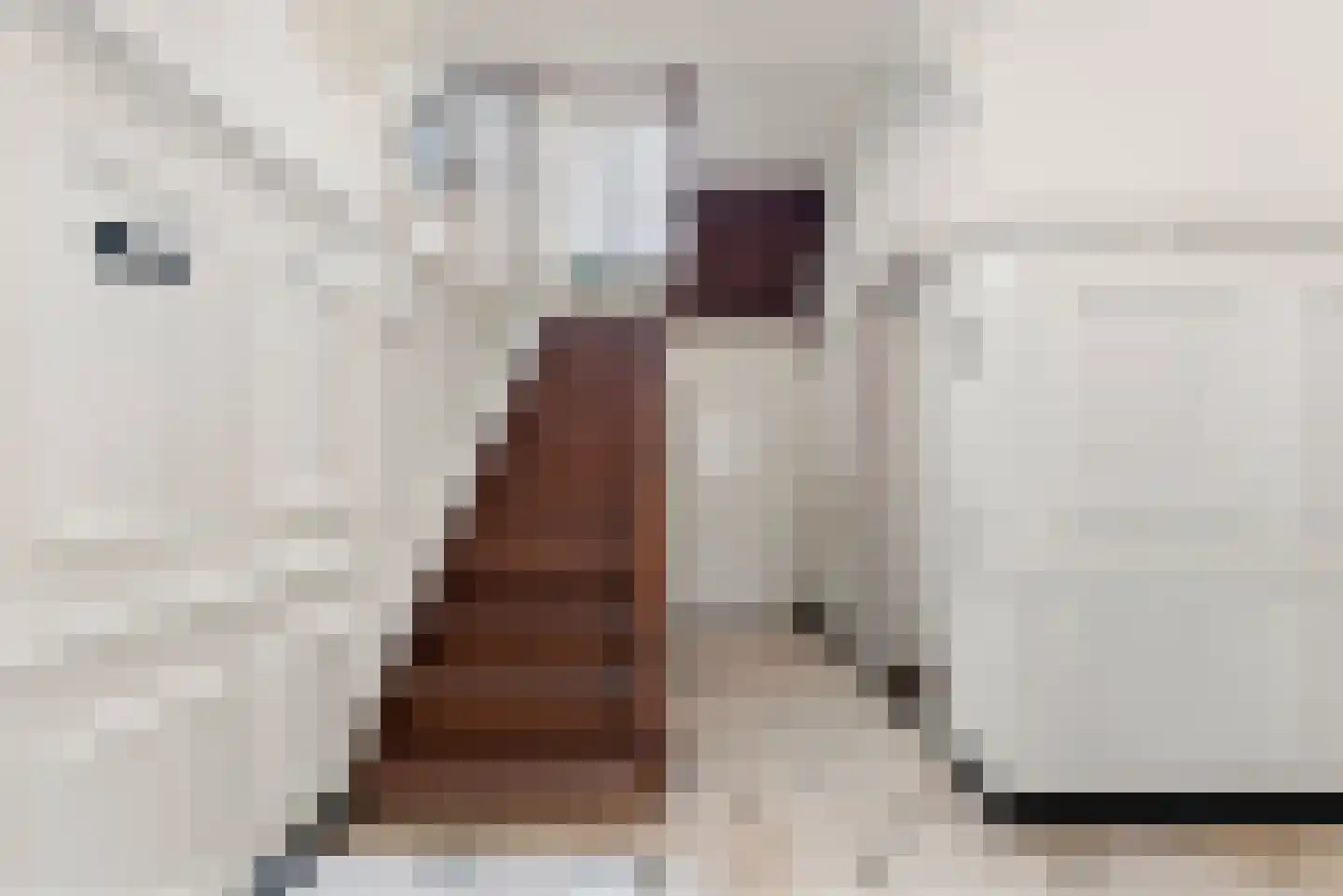 Oude Raadhuisstraat 10 Obbicht thumbnail 18