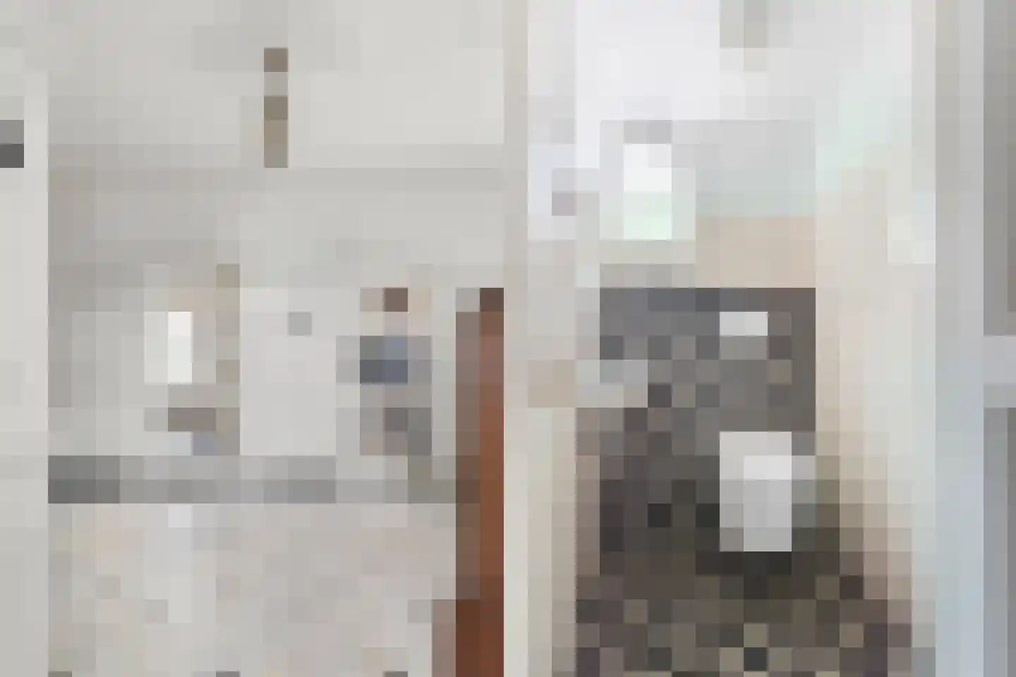 Oude Raadhuisstraat 10 Obbicht thumbnail 19