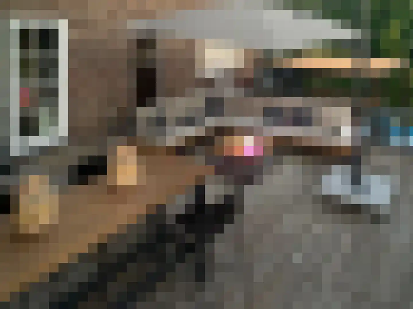 Oude Raadhuisstraat 10 Obbicht thumbnail 33