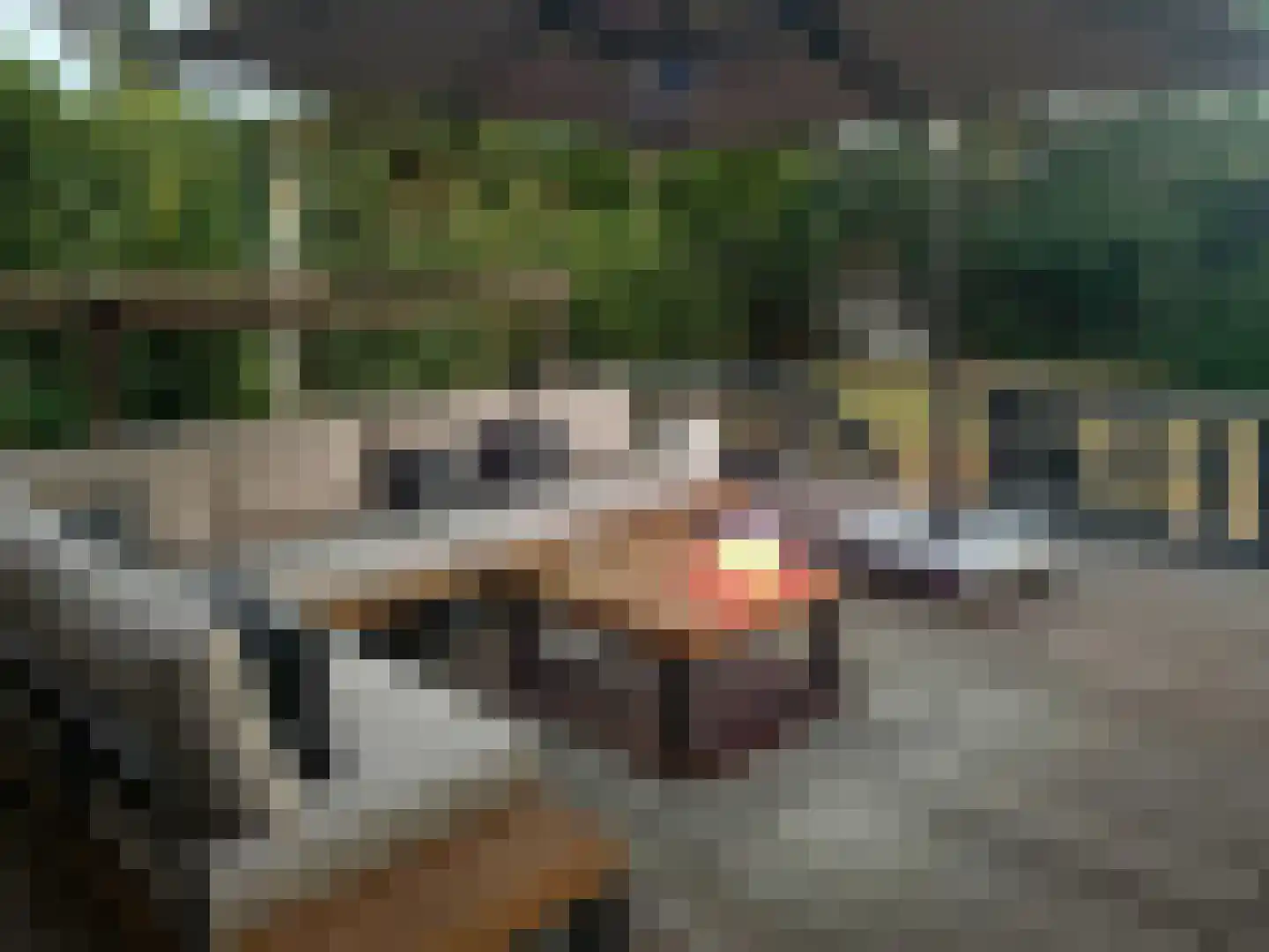 Oude Raadhuisstraat 10 Obbicht thumbnail 34