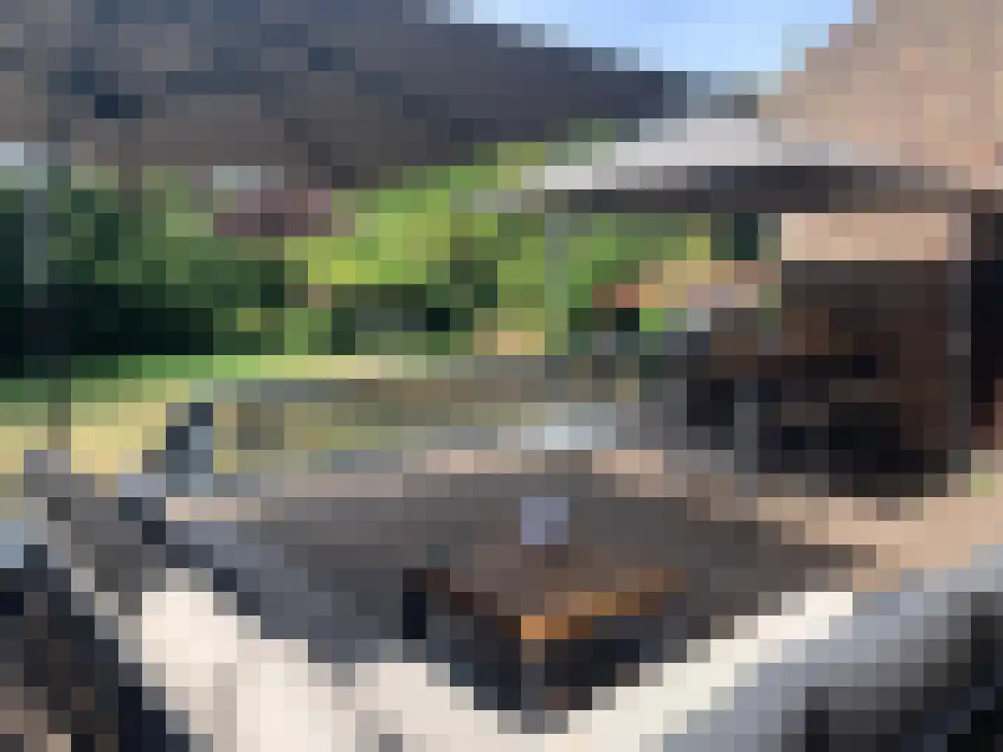 Oude Raadhuisstraat 10 Obbicht thumbnail 36