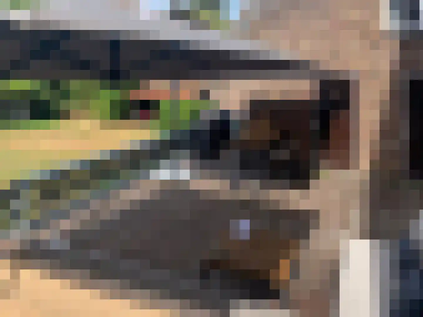 Oude Raadhuisstraat 10 Obbicht thumbnail 37