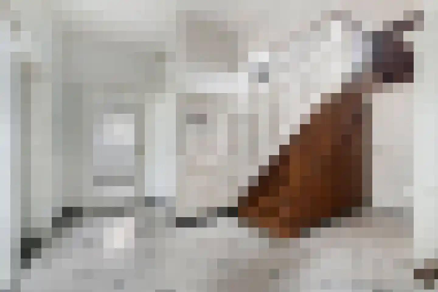 Oude Raadhuisstraat 10 Obbicht thumbnail 4