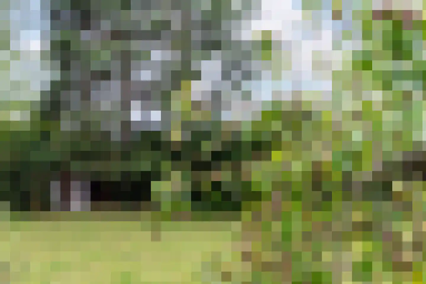 Oude Raadhuisstraat 10 Obbicht thumbnail 41