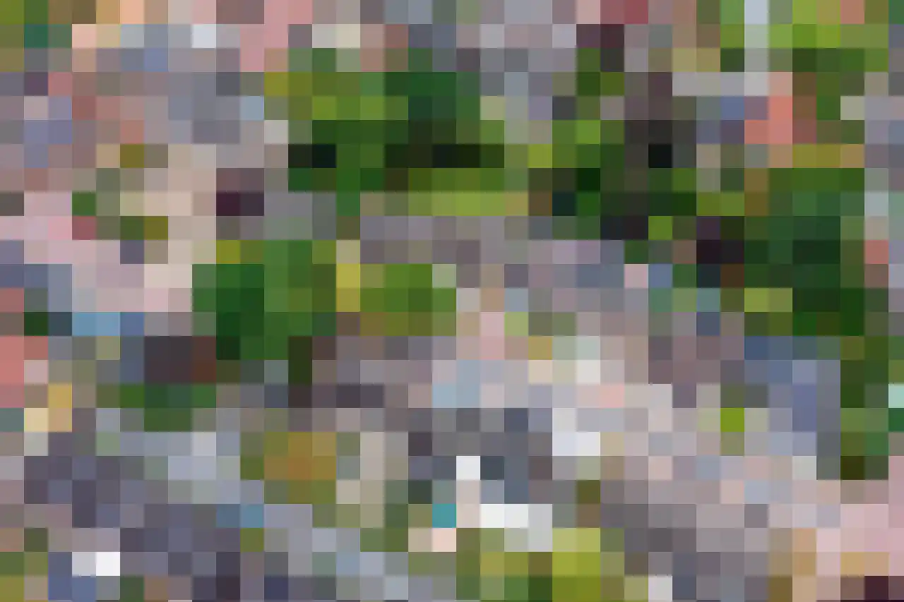 Oude Raadhuisstraat 10 Obbicht thumbnail 44
