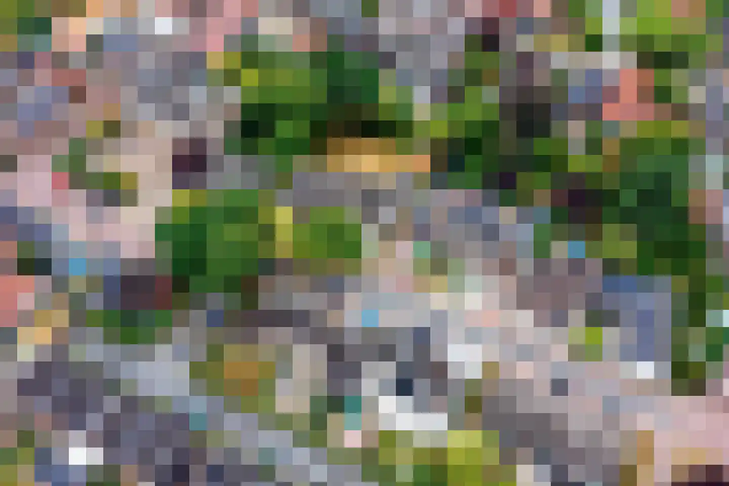 Oude Raadhuisstraat 10 Obbicht thumbnail 44