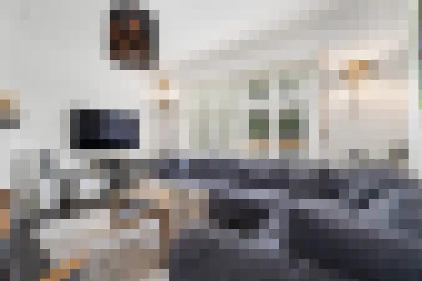 Oude Raadhuisstraat 10 Obbicht thumbnail 9