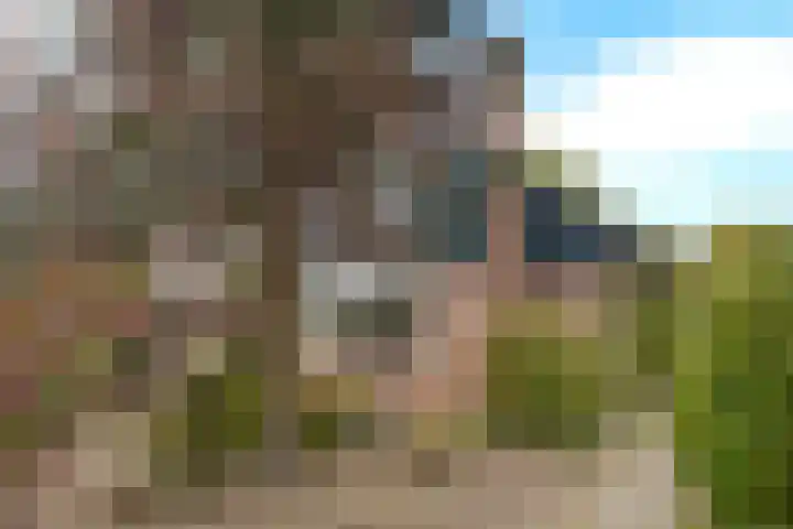 Oude Raadhuisstraat 2 Soest thumbnail 10