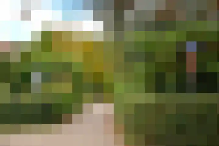 Oude Raadhuisstraat 2 Soest thumbnail 11
