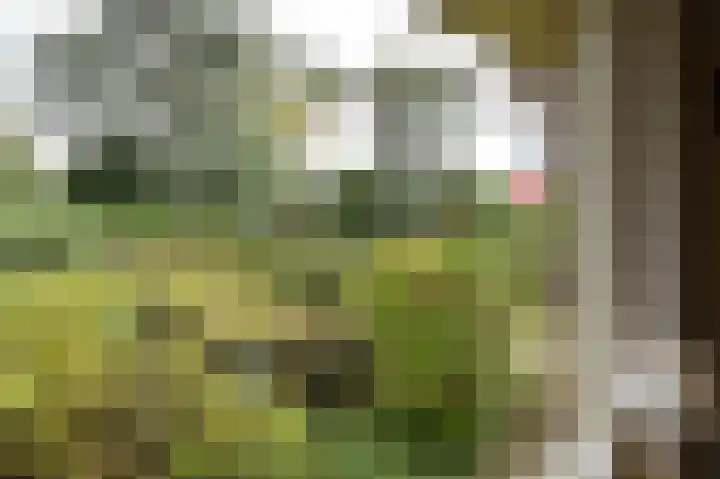 Oude Raadhuisstraat 2 Soest thumbnail 21