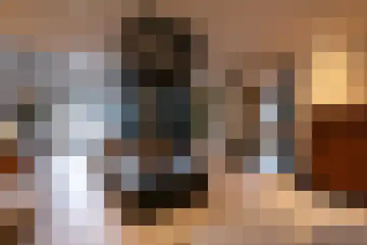 Oude Reekstraat 3 Beuningen Gld thumbnail 12