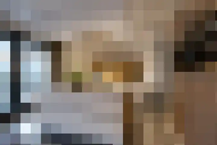 Oude Reekstraat 3 Beuningen Gld thumbnail 16