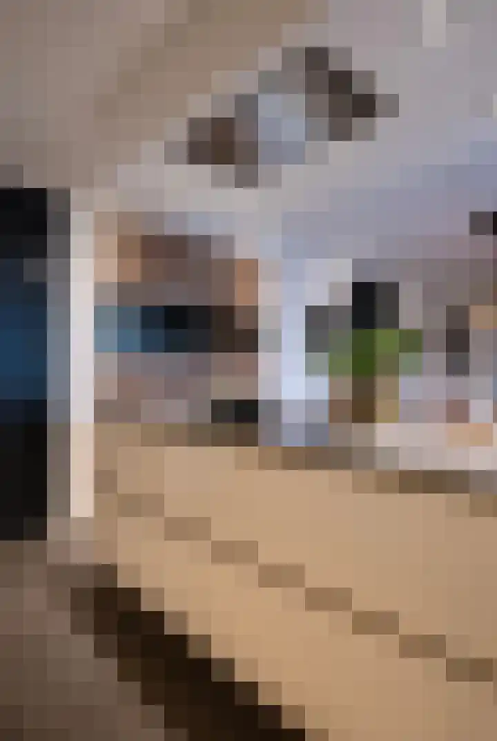 Oude Reekstraat 3 Beuningen Gld thumbnail 17