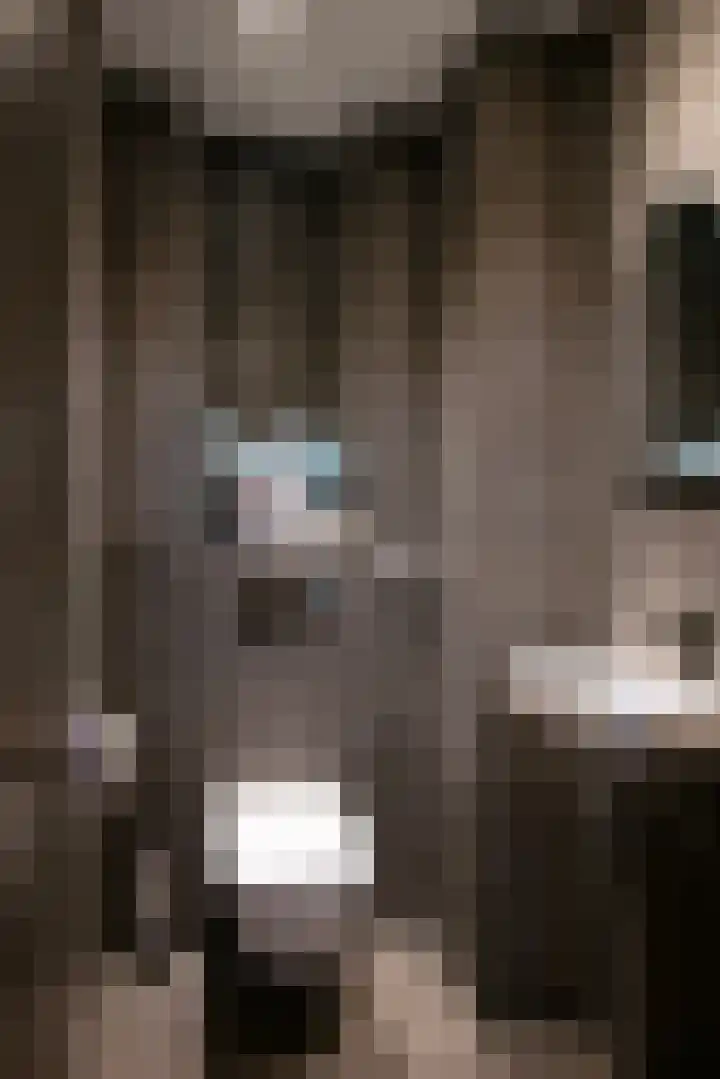 Oude Reekstraat 3 Beuningen Gld thumbnail 20