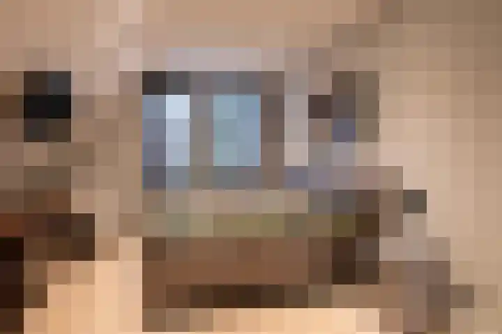 Oude Reekstraat 3 Beuningen Gld thumbnail 29