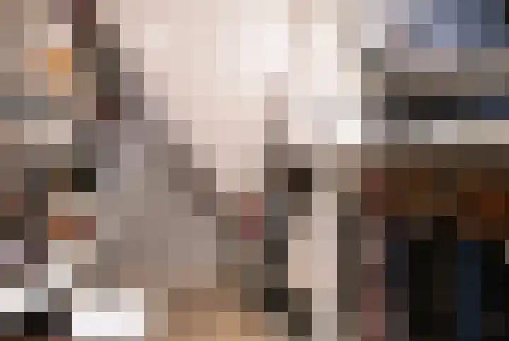 Oude Reekstraat 3 Beuningen Gld thumbnail 30