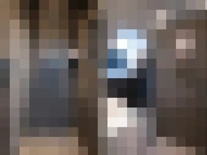 Oude Reekstraat 3 Beuningen Gld thumbnail 32