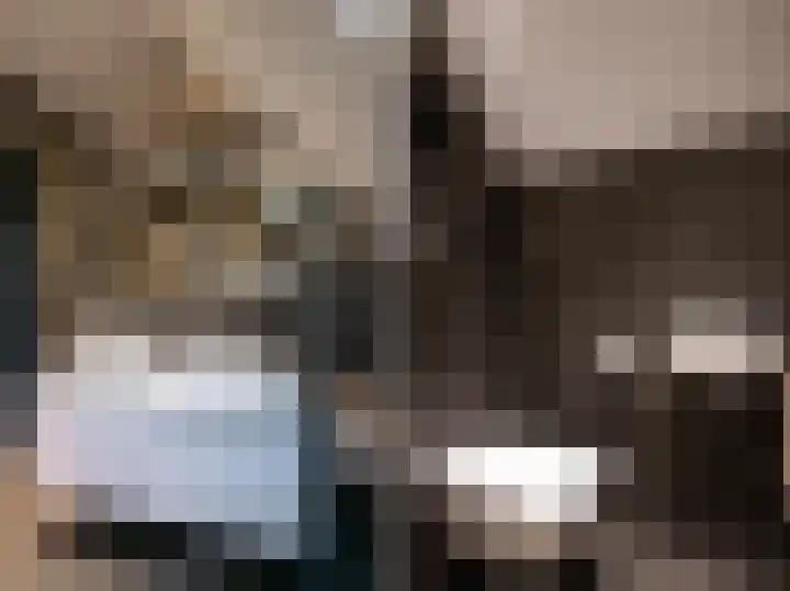 Oude Reekstraat 3 Beuningen Gld thumbnail 34