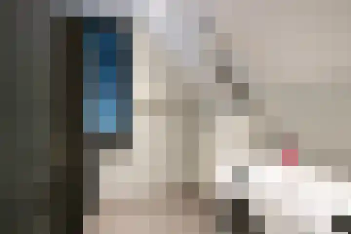 Oude Reekstraat 3 Beuningen Gld thumbnail 36