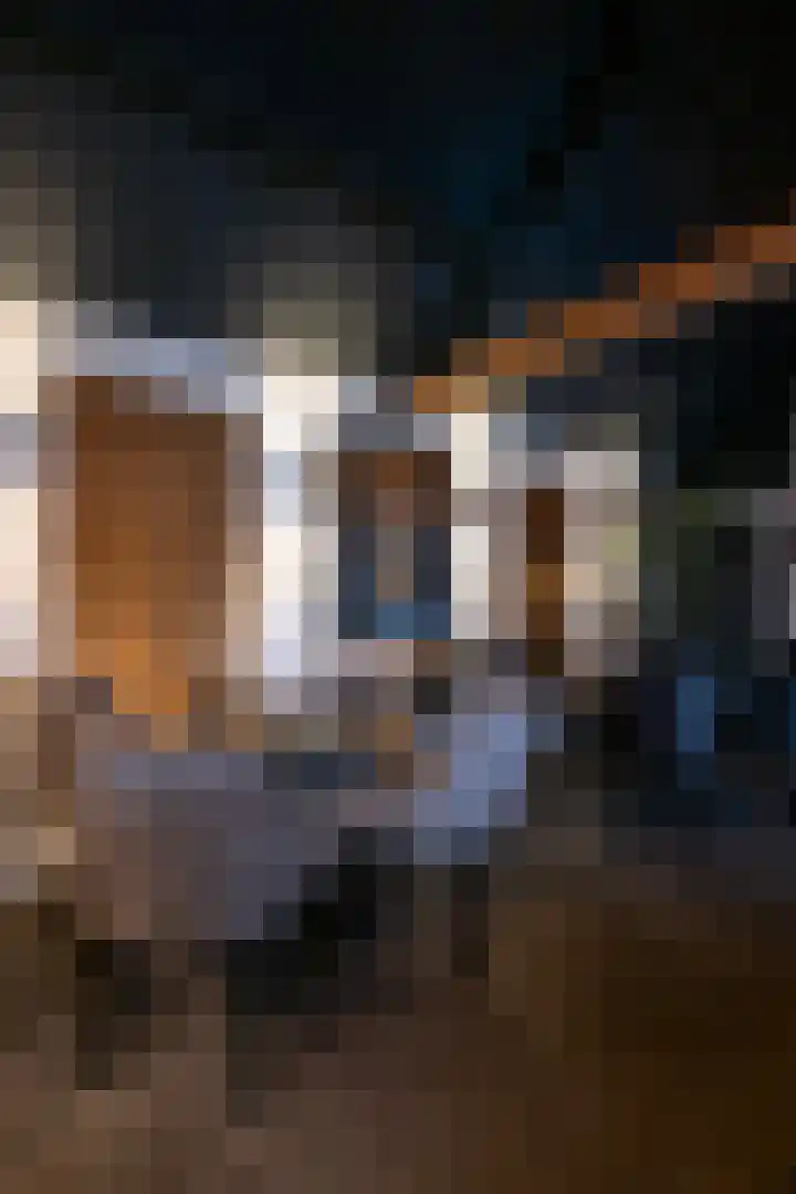 Oude Reekstraat 3 Beuningen Gld thumbnail 39