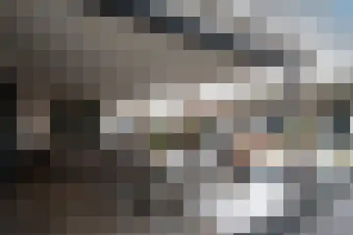 Oude Reekstraat 3 Beuningen Gld thumbnail 41