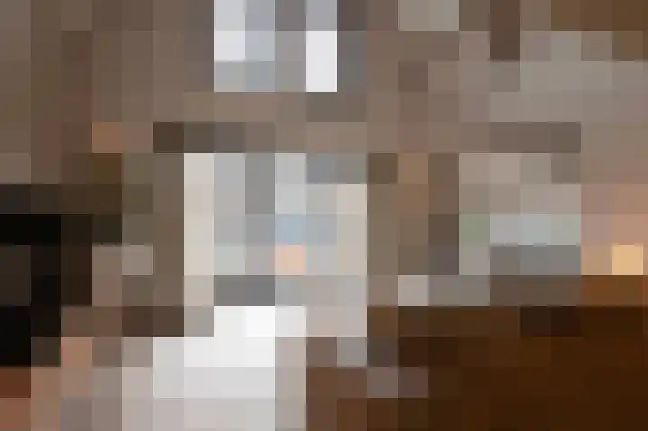 Oude Reekstraat 3 Beuningen Gld thumbnail 5