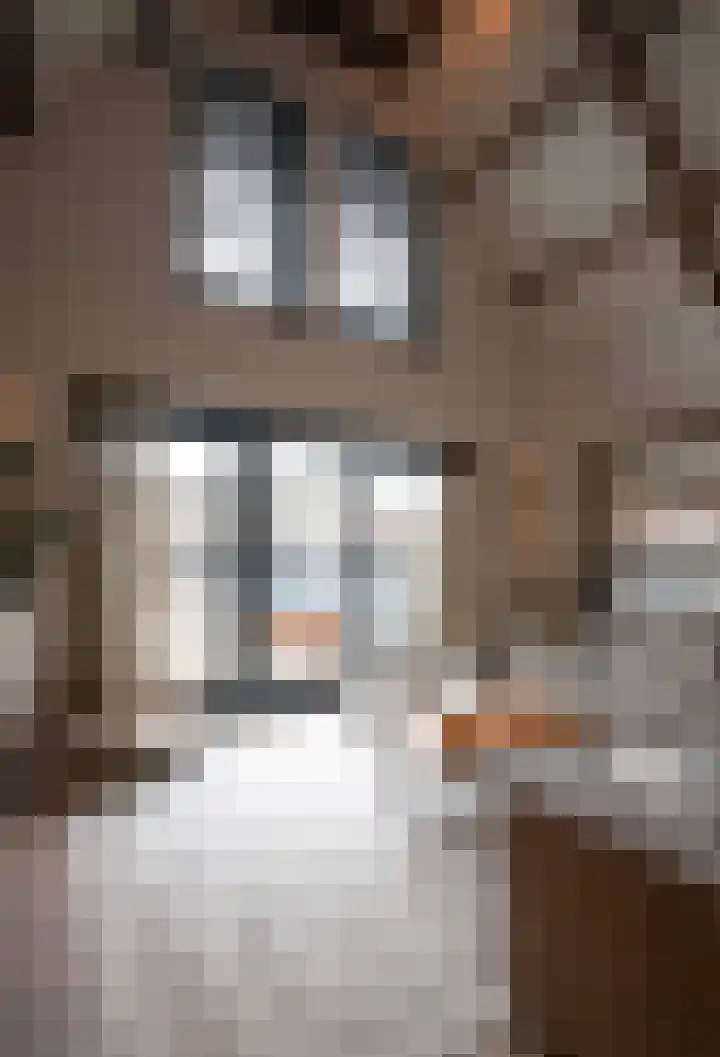Oude Reekstraat 3 Beuningen Gld thumbnail 6